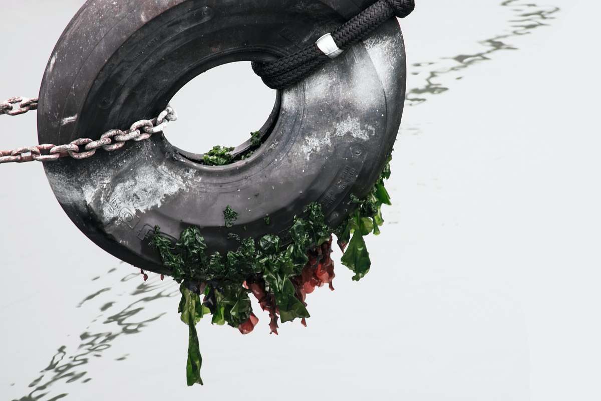 tire tire and chain painting pier 39 concourse